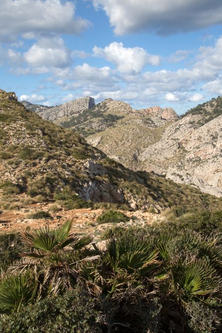 Peaks on Formentor; Majorca; Spain