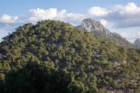 Formentor in Majorca; Spain