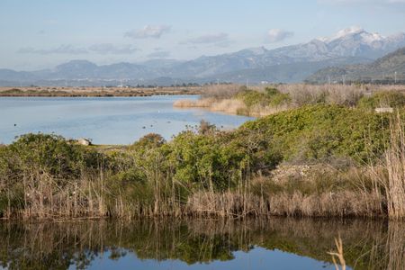 Albufera National Park; Alcudia; Majorca; Spain