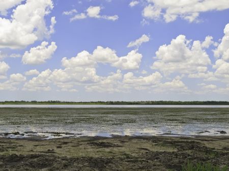 Upper Myakka Lake during a dry spell in May at Myakka River State Park, Florida