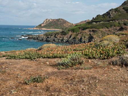 the Island of corsica