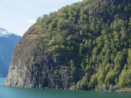 Spring time in a norwegian fjord