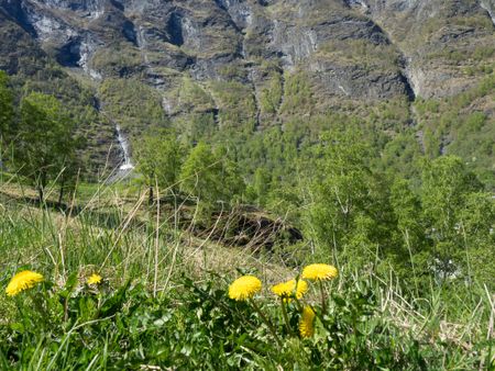 the beautifull nature in Norway a spring time