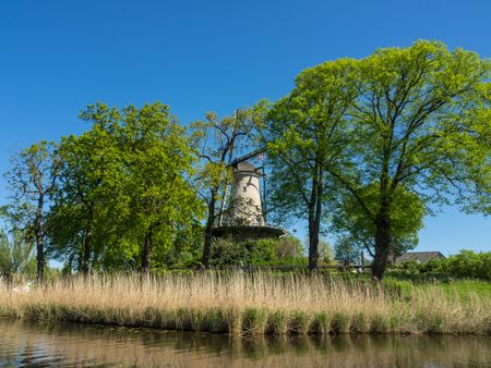 dutch-city-alkmaar-1086251708 the dutch City of alkmaar