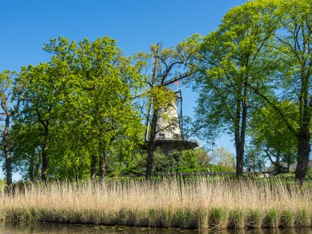 the dutch City of alkmaar