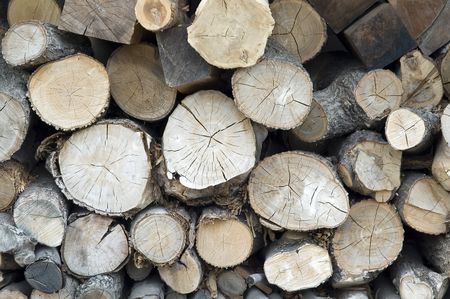 Stacked firewood