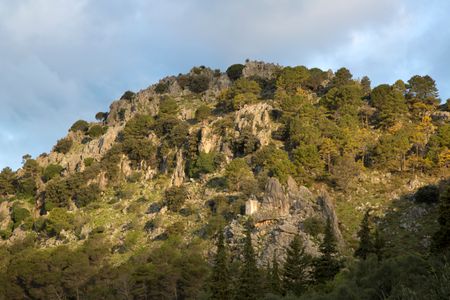 National Park of Grazalema; Andalusia; Spain