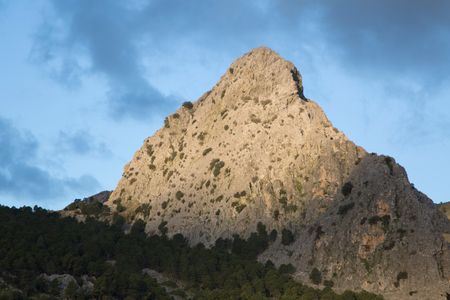 National Park of Grazalema; Andalusia; Spain;