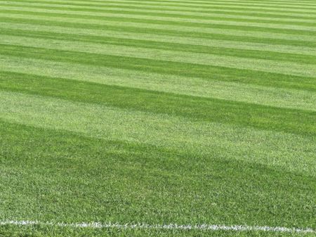 Sport abstract: Outfield in major league baseball stadium, with foul line chalked in foreground