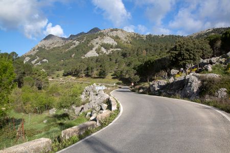 Open Road in National Park of Grazalema, Spain