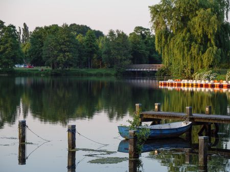 summer evening at  a  lake in germany