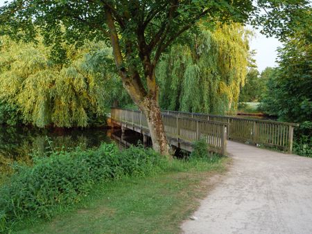 summer evening at  a  lake in germany