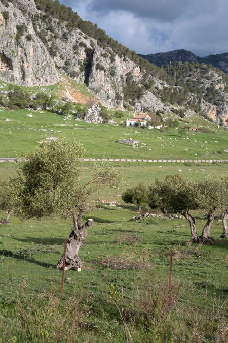 Grazalema National Park; Spain