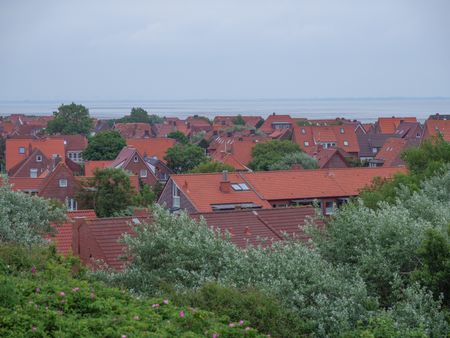 The Island juist in the North sea