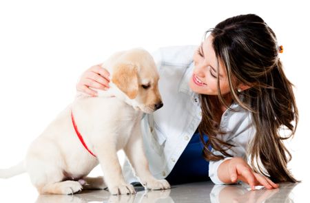 Woman pampering her little dog - isolated over a white background