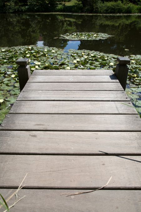 Wooden Pier; Botanical Garden; Copenhagen; Denmark