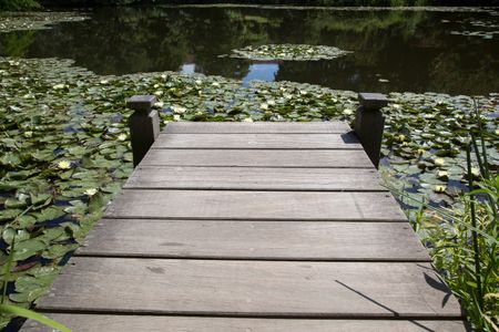 Wooden Pier in Botanical Garden; Copenhagen; Denmark