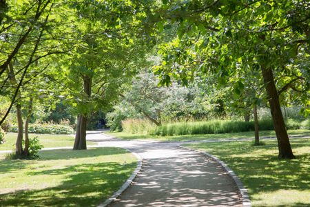 Footpath in Botanical Garden; Copenhagen; Denmark