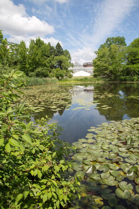 Lake at Botanical Garden, Copenhagen, Denmark