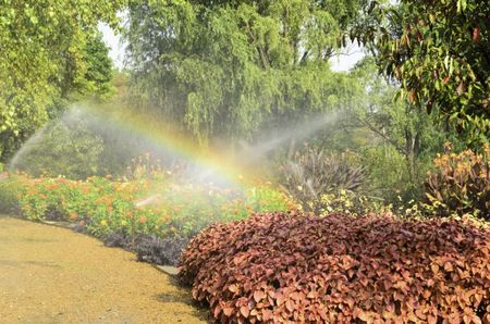 Morning rainbow in garden, Wheaton, Illinois, in mid September