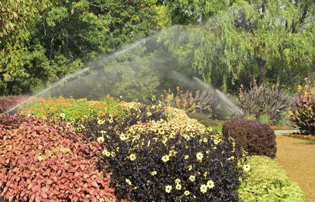 Automated watering of formal garden in the morning, Wheaton, Illinois, in mid September