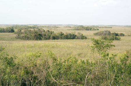 View of the Everglades on a hazy afternoon