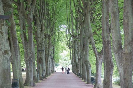 Footpath, Slottstradgardens Park; Malmo; Sweden