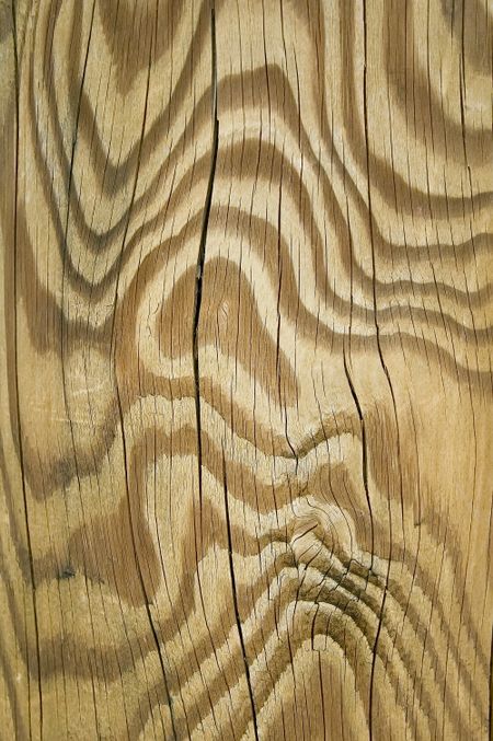 Growth rings and cracks in weathered wooden post
