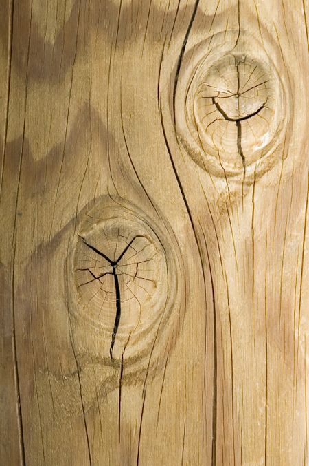 Two knots in wooden post with curvilinear cracks