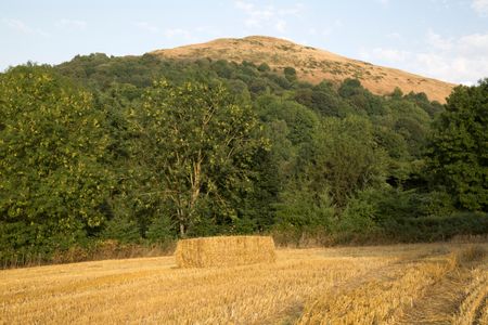Hay in Malvern Hills, England; UK