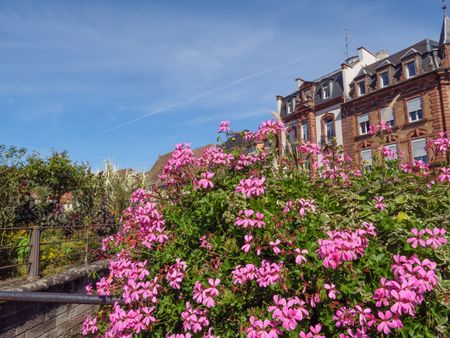 Wissembourg in france