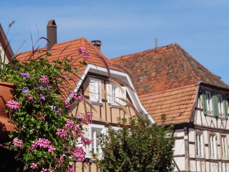 the City of Wissembourg in the French alsace
