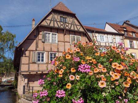 the Alsace in france