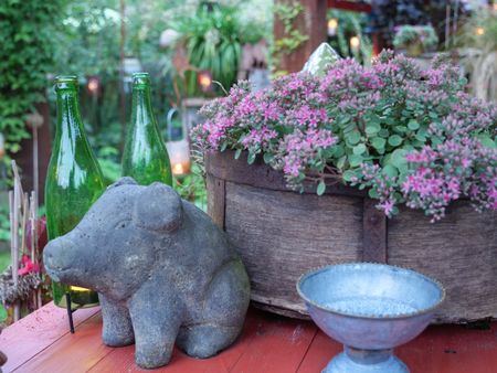 summer night in the garden