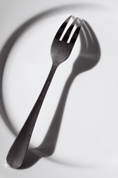 Stainless steel fork with shadow on dinner plate