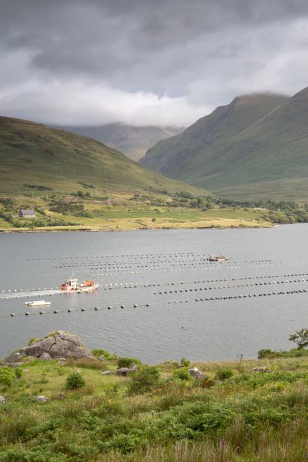 Killary Fjord; Connemara National Park; Ireland