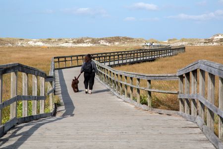 Walkway at Beach in Galicia Spain