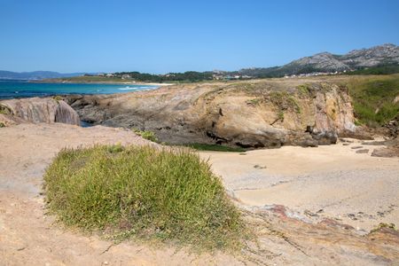 Beach and Plant; Galicia; Spain