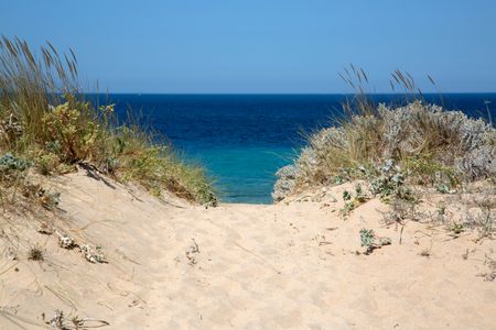 Beach and Reeds; Galicia; Spain