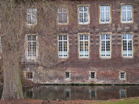 Forest and Castle in germany
