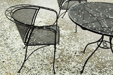 Black metallic chair and round table amid white tree petals