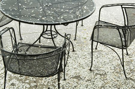 Black metallic chairs and round table amid white tree petals