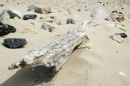 Driftwood and rocks on sandy beach