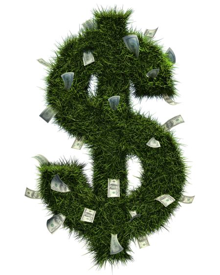 3D grass dollar shape and some bills inside. Isolated over white.