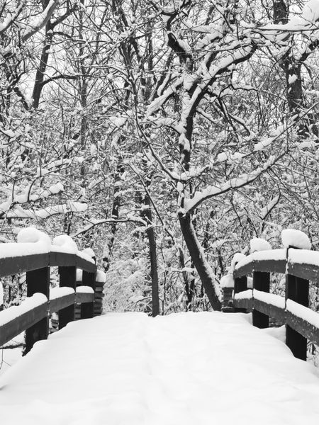 A way to serenity, in black and white: Footbridge covered with snow in winter woods, northern Illinois