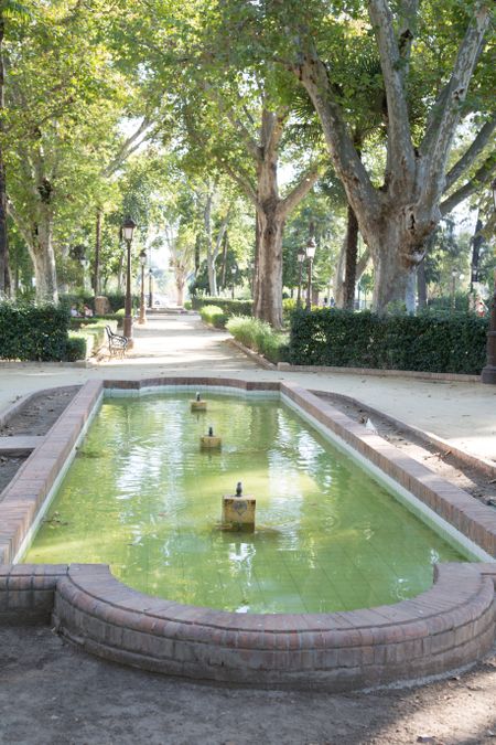 Cristina Gardens Park, Seville; Spain