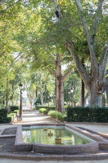 Cristina Gardens Park, Seville; Spain