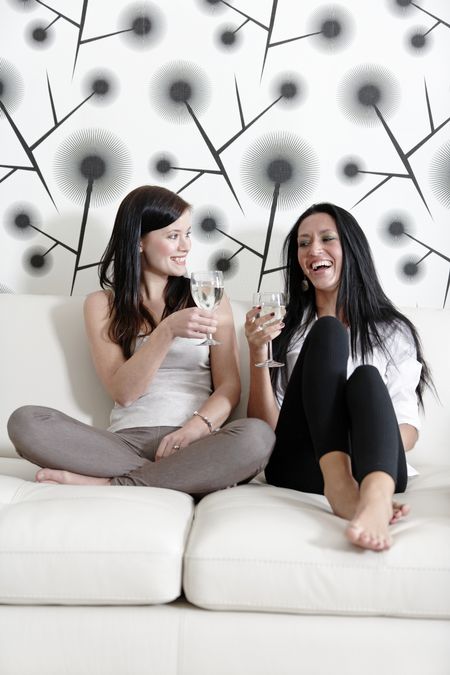 Two attractive young friends catching up at home on the sofa with a glass of wine.