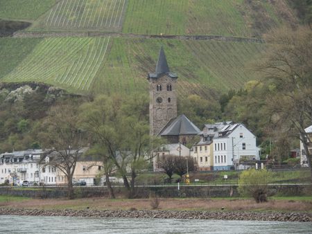 River cruise on the romantic rhine