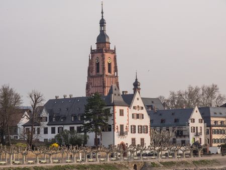 rhine river cruise in germany